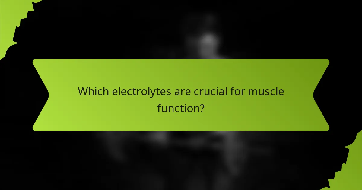 Which electrolytes are crucial for muscle function?